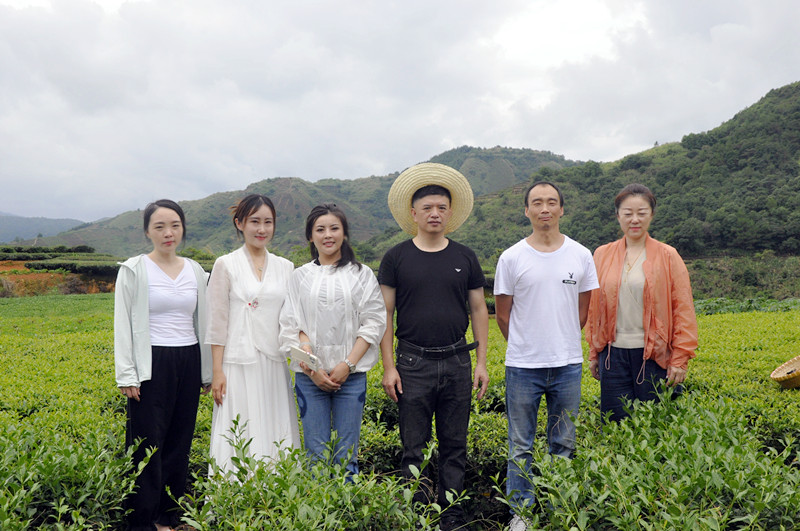 茶叶干评台湿评台要求
