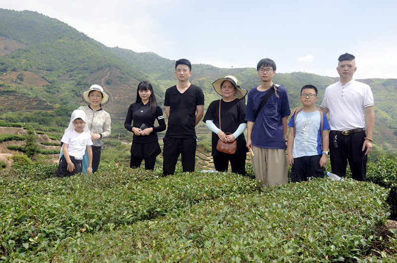 2025年1月高级茶艺师培训班招生简章,报名开始啦