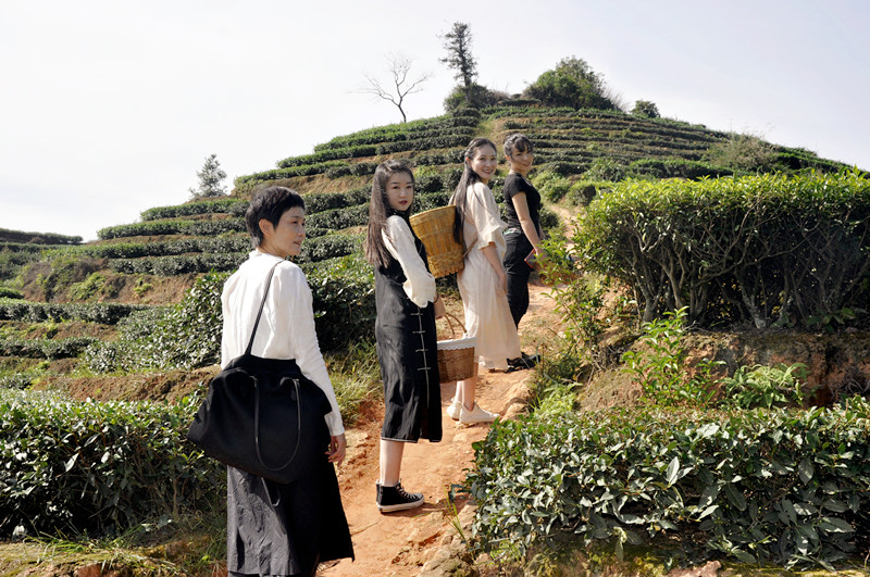 全国正规茶艺师学校