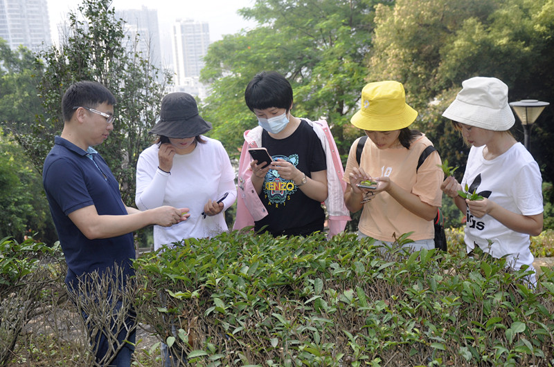 全国十大茶艺师学校