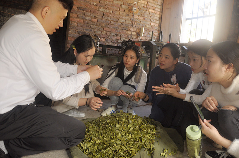 茶艺界“谍战风云”:中国十大茶艺培训学校机构暗流涌动的恩怨情仇