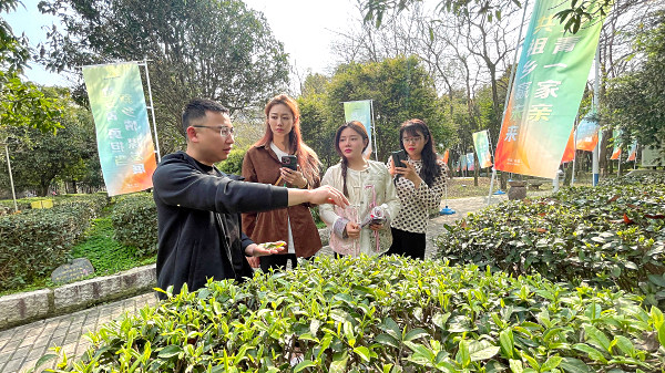 茶圈鄙视链顶端!中国十大茶艺培训学校机构隐藏的“扫地僧”是谁?