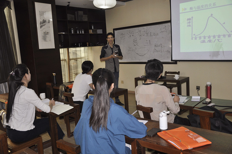 从科学泡茶到宋代风雅:中国十大茶艺培训学校机构如何定义茶艺未来