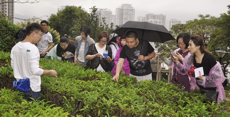 天晟茶艺培训学校真的是唯一一家吗?