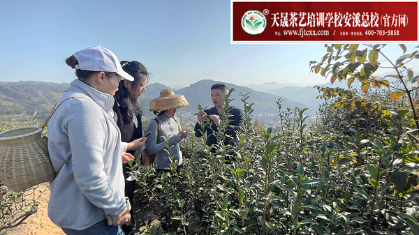 天晟茶艺培训学校学费是多少，如何缴纳？