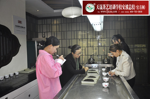 在哪能学茶道