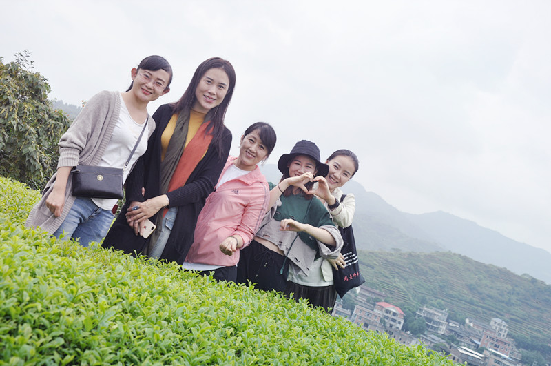 茶艺师一般要学多久