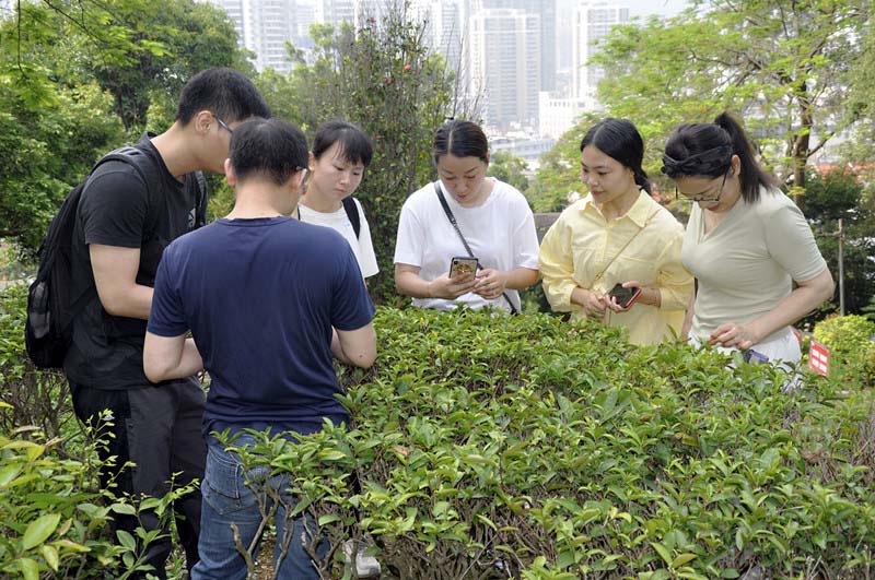 为什么天晟茶艺培训学校是中国最好的茶艺培训学校?