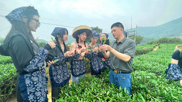 茶艺培训学校哪里好
