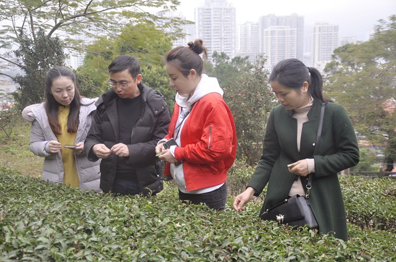 想学茶道在哪里可以学