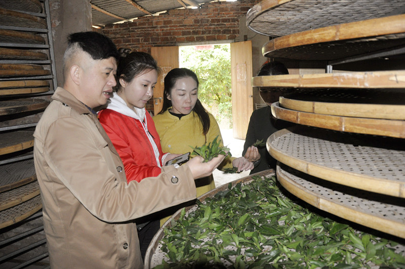 中国茶学系统培训班