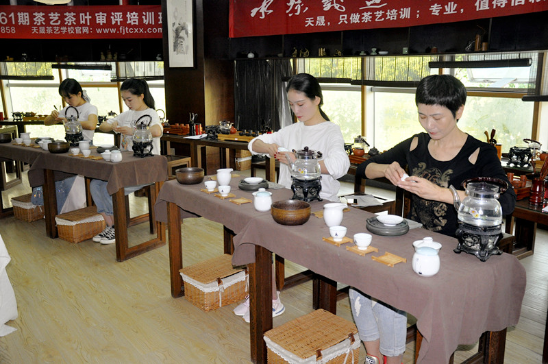 茶艺培训