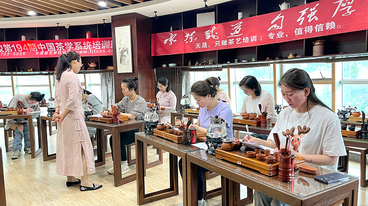 第210期天晟中国茶学系统培训班2025年8月14日正式上课（图）(图6)